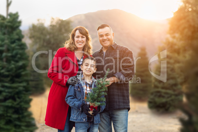 Mixed Race Family Outdoors At Christmas Tree Farm