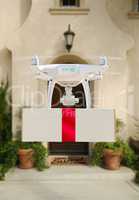 Drone Delivering Red Ribbon Wrapped Package to House Porch