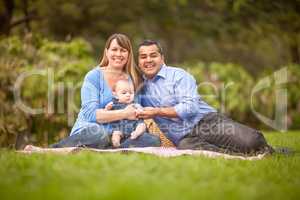 Happy Mixed Race Family Having a Picnic and Playing In The Park