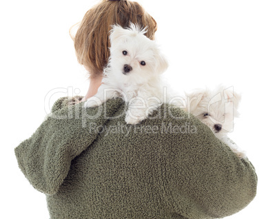 Woman Holding Two Young Maltese Puppies Isolated on White