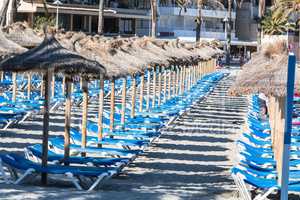 Umbrellas and sun loungers in a row