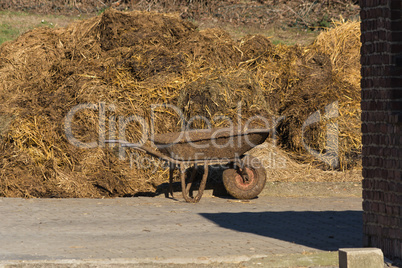 Piles of stinking manure