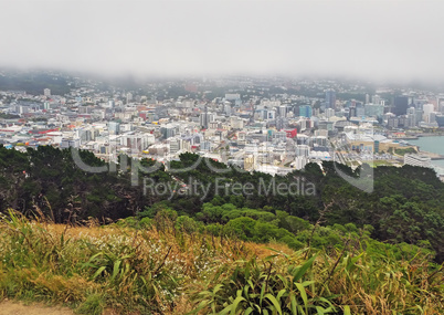 Wellington, New Zealand