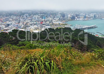 Wellington City, New Zealand