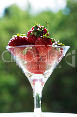 Bowl With Strawberry