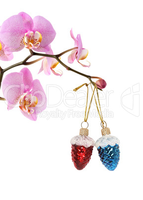 Christmas Decoration With Orchid