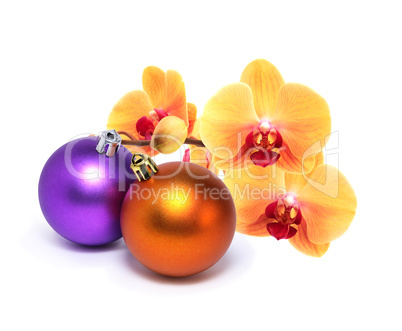 Christmas Decoration With Orchid
