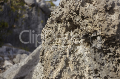 Limestone rock of the Caribbean coast of Mexico