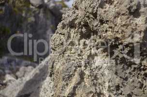 Limestone rock of the Caribbean coast of Mexico