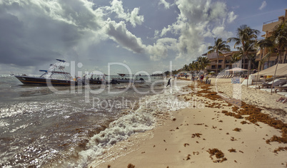 Daily life in playa del Carmen's beach