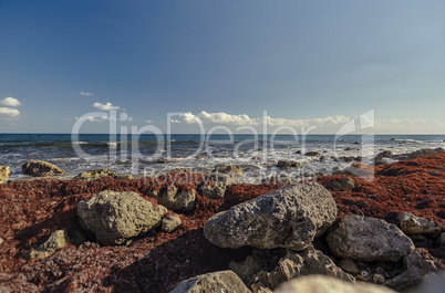 View of the horizon from the rocky beach of Puerto Aventuras