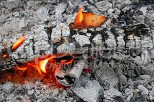 Burning Firewood and ash