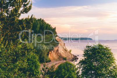 Sunrise light on cliff with pine wood