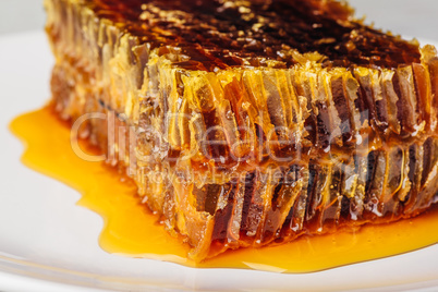 Delicious honeycomb on light background