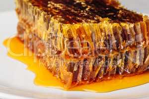 Delicious honeycomb on light background