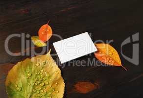Business card, autumn leaves