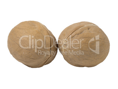 Walnuts isolated on white background.