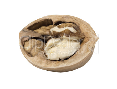 Walnut isolated. Nut kernel on white background.