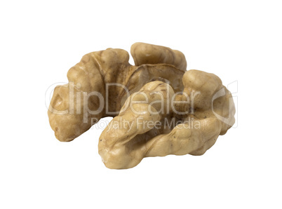 Walnut isolated. Nut kernel on white background.