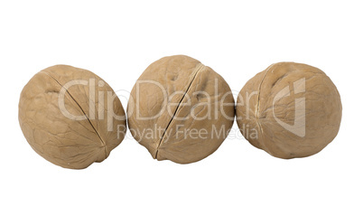 Walnuts isolated on white background.