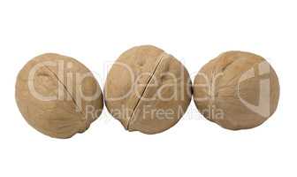 Walnuts isolated on white background.