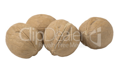 Walnuts isolated on white background.