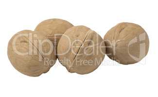 Walnuts isolated on white background.