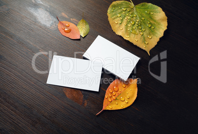 Business cards and autumn leaves