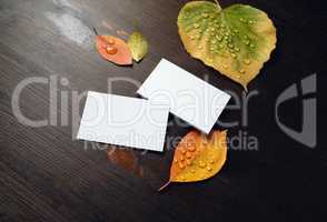 Business cards and autumn leaves