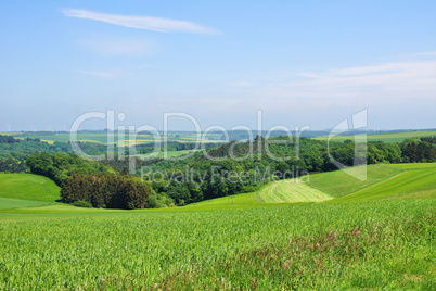 Wälder und Felder , forests and fields