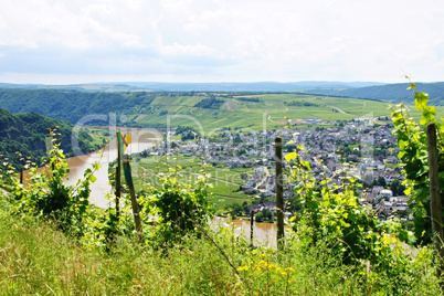 Piesport an der Mosel, Piesport on the Moselle