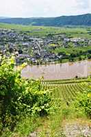 Moseltal bei Piesport, Moselle valley near Piesport