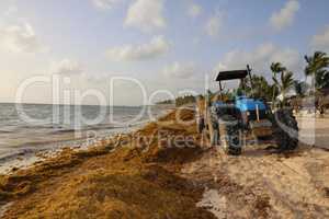 Tractor at Beach