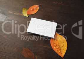 Business card, leaves