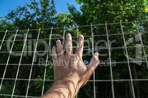 A hand rests against a metal mesh fence
