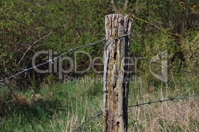 barbed wire with burred image of field