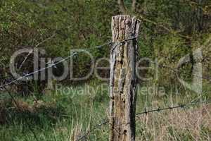 barbed wire with burred image of field