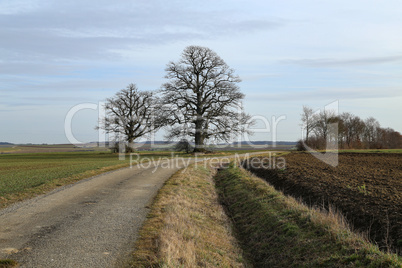 Winter landscape in central Europe abnormally warm winter