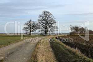 Winter landscape in central Europe abnormally warm winter