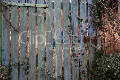 Old wooden fence with peeling green paint
