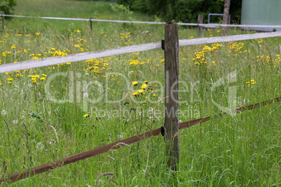 Electric fencing around pasture with farm animals