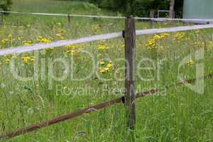 Electric fencing around pasture with farm animals