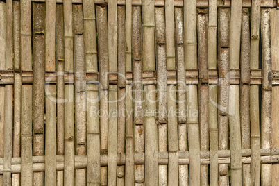 Wicker fence made of sawn bamboo trunks