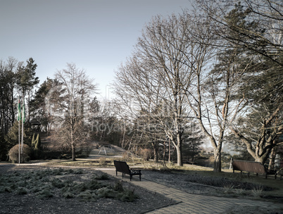 Autumn landscape: late autumn in the Park.