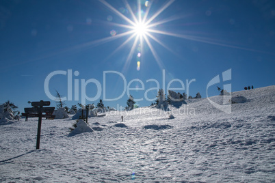 Winter landscape with lens flare at the german mountain called Brocken