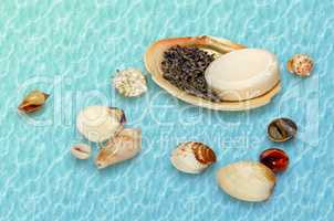 Seashells with lavender and soap