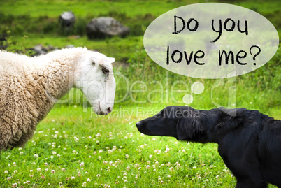 Dog Meets Sheep, Text Do You Love Me