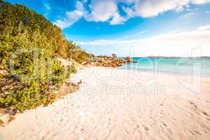 Bright Sandy Beach, Sardinia, Beautiful Landscape With Turquoise Ocean
