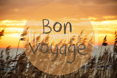 Beach Grass At Sunrise Or Sunset, Text Bon Voyage Means Good Trip