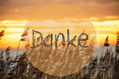 Beach Grass At Sunrise Or Sunset, Text Danke Means Thank You